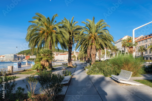Split promenade, palm trees in the Old Town of Split at morning in Riva waterfront view, Dalmatia, Croatia