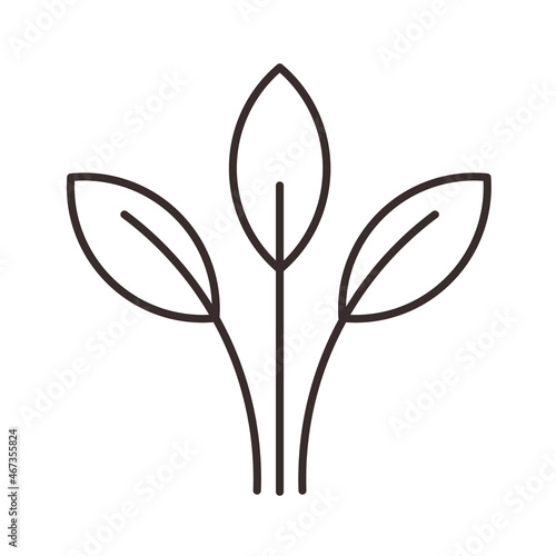 Leaves leaf green organic nature plant natural vector design sing symbol logo illustration