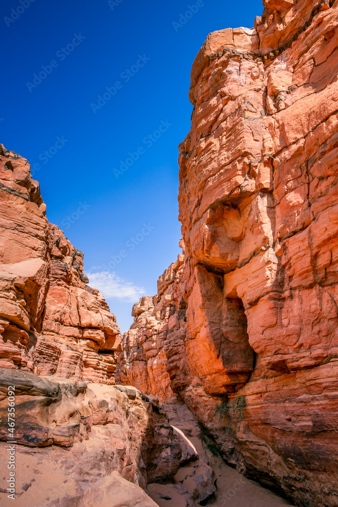 Fototapeta premium Red Canyon in the Senai Peninsula Desert