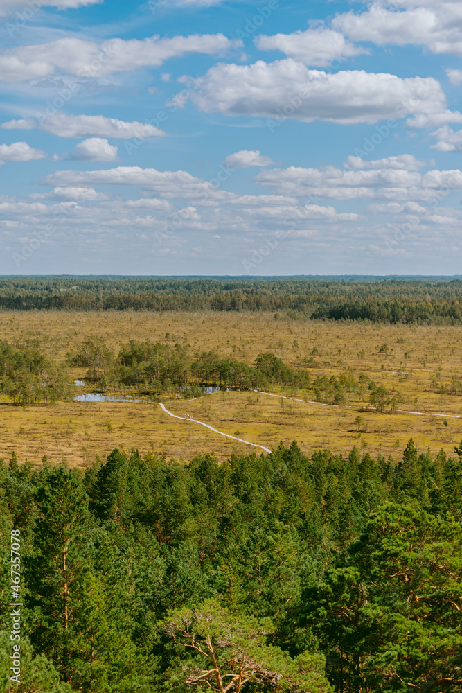 Aerial view over the forest and swamp. Blue sky with white clouds, beautiful landscape