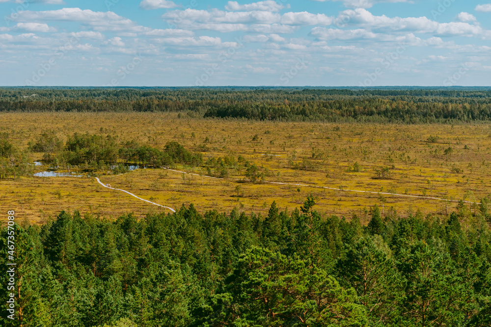 Aerial view over the forest and swamp. Blue sky with white clouds, beautiful landscape