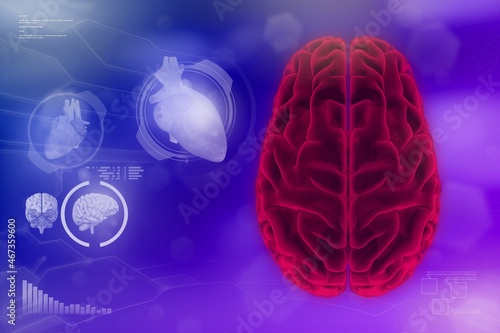 Medical 3D illustration - human brain, physiology analyzing concept - highly detailed modern texture or background