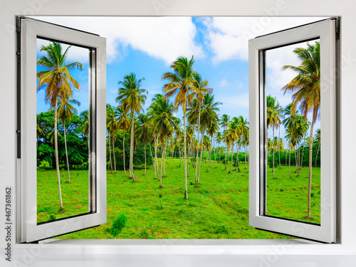 view from an open window to the jungle