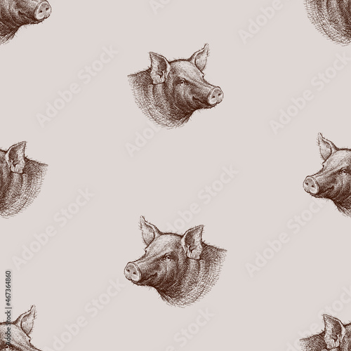 Seamless background from sketches portrait cunning smiling pig