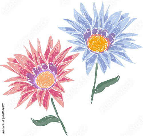 Vector brush drawing of decorative red and blue asters