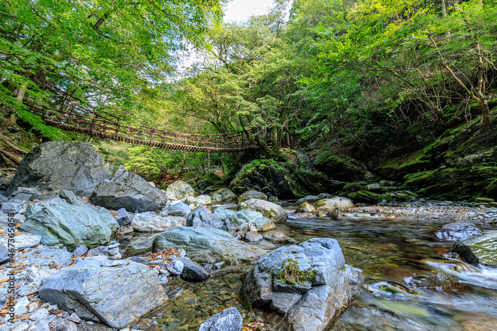 奥祖谷二重かずら橋 女橋 徳島県三好市 Oku Iya Double Kazura Bridge Onnabashi Tokushima-ken Miyoshi city 奥祖谷二重かずら橋 女橋 徳島県三好市 Oku Iya Double Kazura Bridge Onnabashi Tokushima-ken Miyoshi city