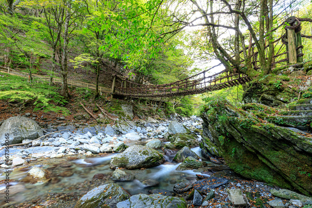 Obraz premium 奥祖谷二重かずら橋 女橋 徳島県三好市 Oku Iya Double Kazura Bridge Onnabashi Tokushima-ken Miyoshi city
