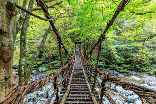 Obraz na płótnie 奥祖谷二重かずら橋　女橋　徳島県三好市　Oku Iya Double Kazura Bridge　Onnabashi　Tokushima-ken Miyoshi