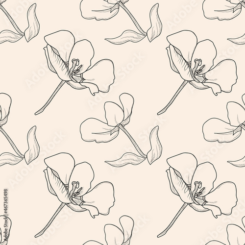 Vector Tulip Black White Line Pattern Design Textile Paper Advertising. 