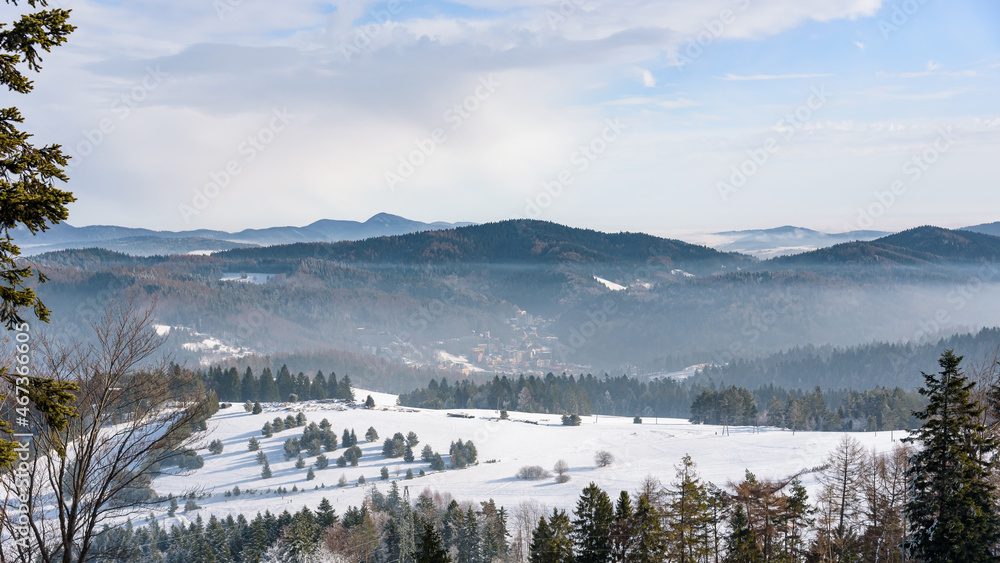 Winter foggy landscape of Beski Sadecki mountain range