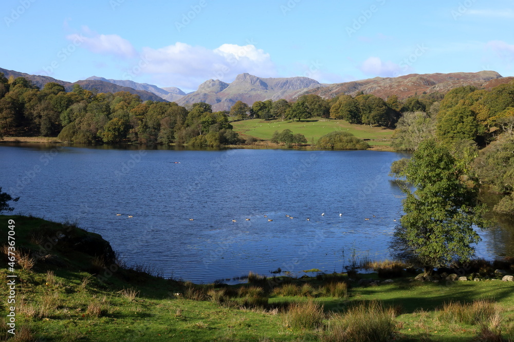Loughrigg Tarn with wild swimmer in distance, and view of the Langdale Pikes.