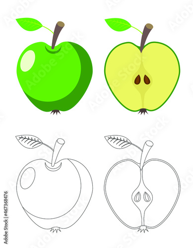 set of green apples  coloring book  vector illustration 