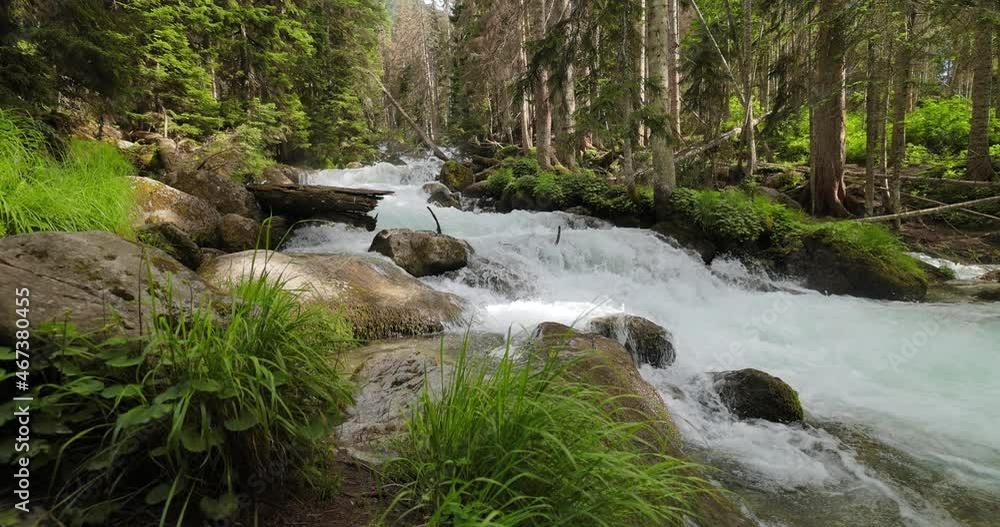 Mountain River in the wood in slow motion. Beautiful wildlife landscape. Mountain River in the wood in slow motion. Beautiful wildlife landscape.