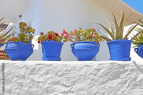 traditional yard at Ano Koufonisi Cyclades Greece - purple flower pots with blooming geraniums © photo_stella