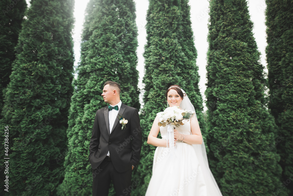 Happy wedding couple walking in a botanical park Happy wedding couple walking in a botanical park