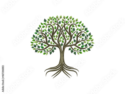 oak tree logo design vector isolated