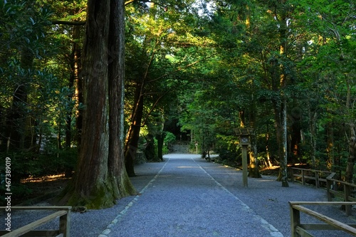 Ise Jingu Shrine Gegu, Main Sanctuary Path in Mie, Japan - 日本 三重県 伊勢神宮 外宮 参道	 photo
