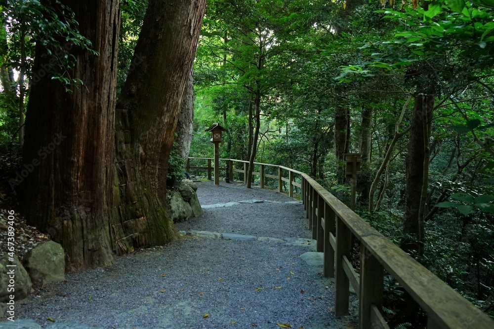 Pilgrimage Path to Ise Jingu Shrine in Mie, Japan - 日本 三重 伊勢神宮 別宮 参道 Pilgrimage Path to Ise Jingu Shrine in Mie, Japan - 日本 三重 伊勢神宮 別宮 参道