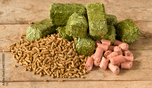 Pelleted horse feed on left, green alfalfa-timothy cubes in the middle, and pink peppermint treats on the right; on rustic wooden table photo