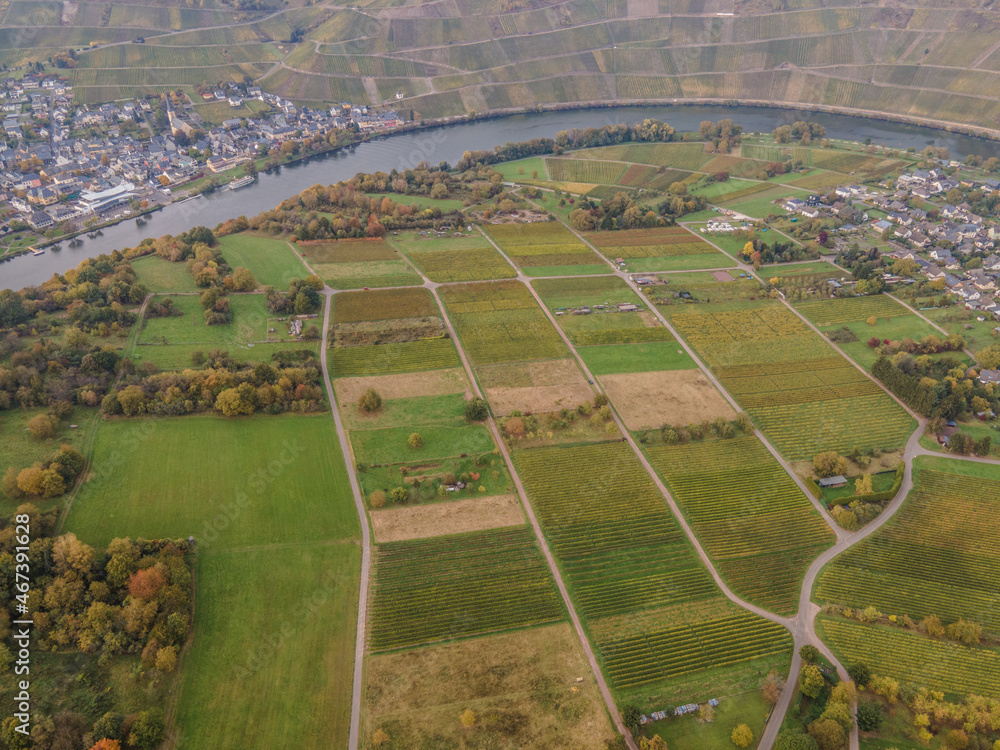 Jesienny krajobraz winnic mad Mozelą w Niemczech.