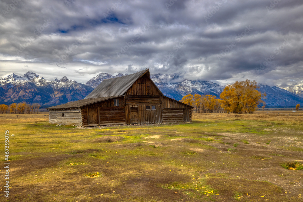 Obraz premium Fall colors at Yellowstone National Park, Idaho, Wyoming, Bison, Geysers, Mountains, Grand Tetons