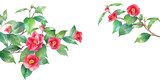 赤い椿の水彩イラスト。左右から伸びる枝の装飾フレーム。バナー背景。ヤブツバキ。