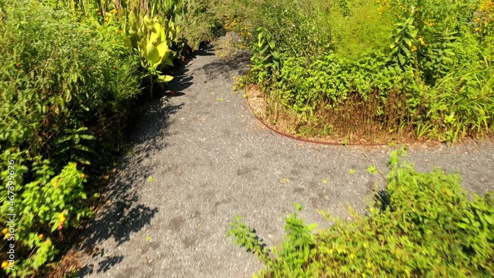 Pollinator garden that attracts bees, butterflies, moths and hummingbirds Pollinator garden that attracts bees, butterflies, moths and hummingbirds