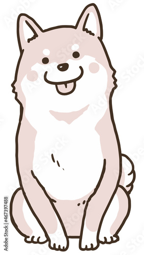 おすわり赤柴ワントーン