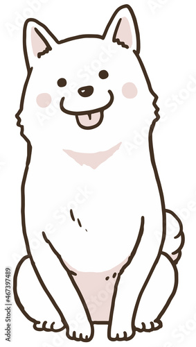 おすわり白柴ワントーン