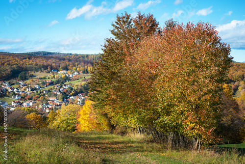 Aerial view on small town - colorful fields and trees in autumn