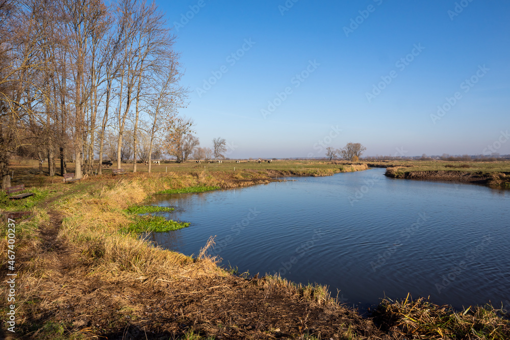 Brzozówka – rzeka, lewostronny dopływ Biebrzy, Podlasie, Polska 