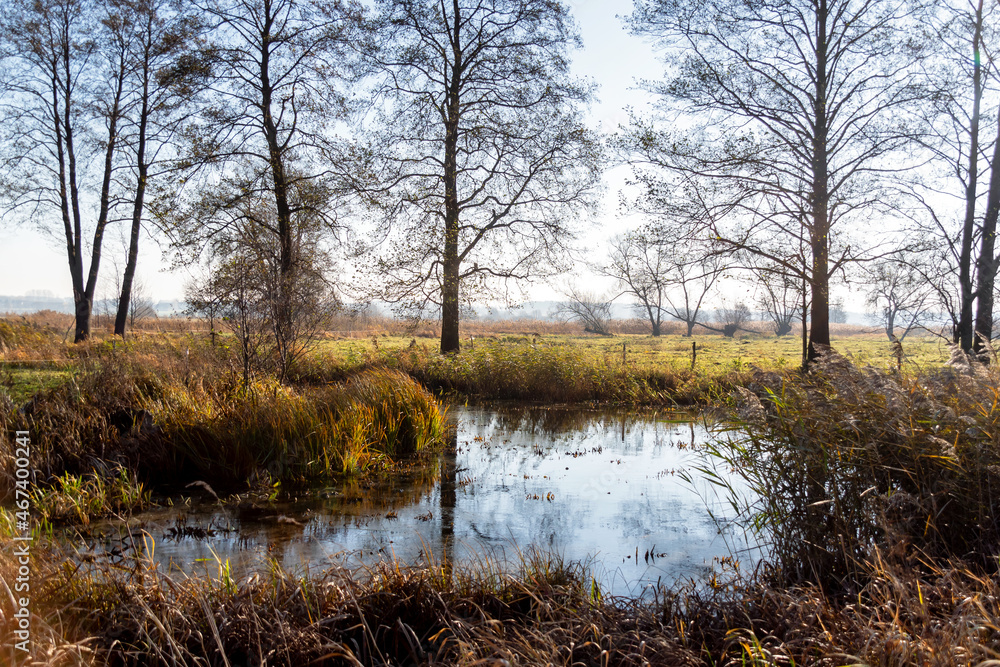 Fototapeta premium Brzozówka – rzeka, lewostronny dopływ Biebrzy, Podlasie, Polska 