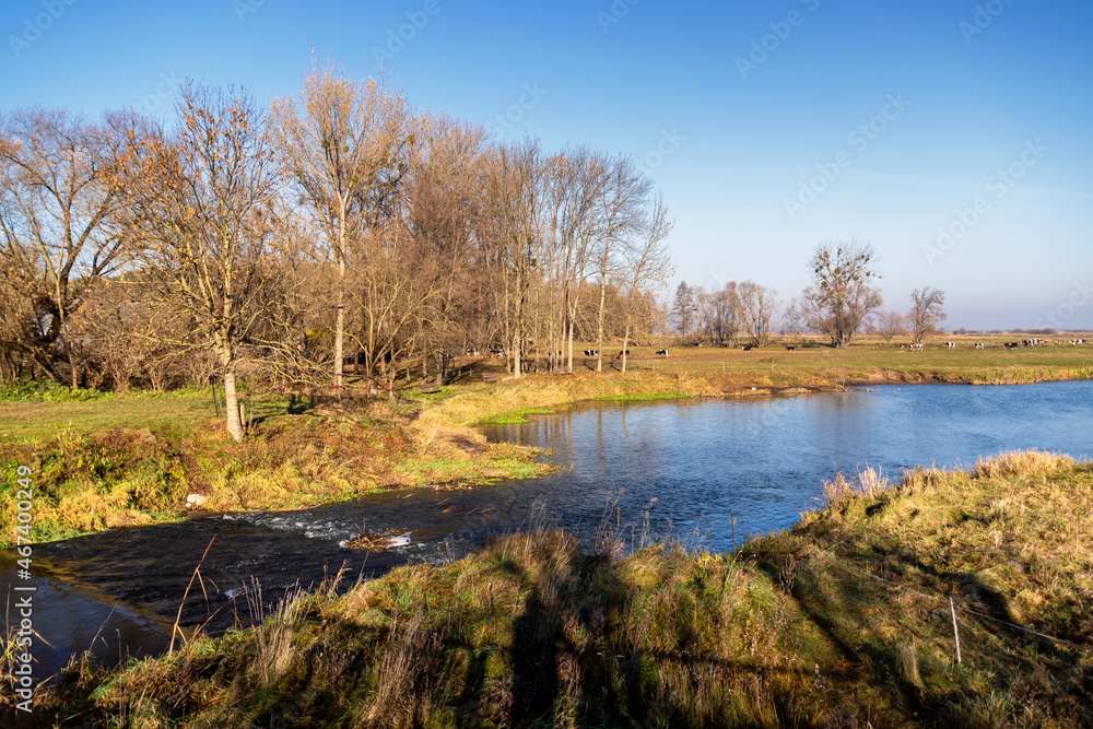 Brzozówka – rzeka, lewostronny dopływ Biebrzy, Podlasie, Polska 