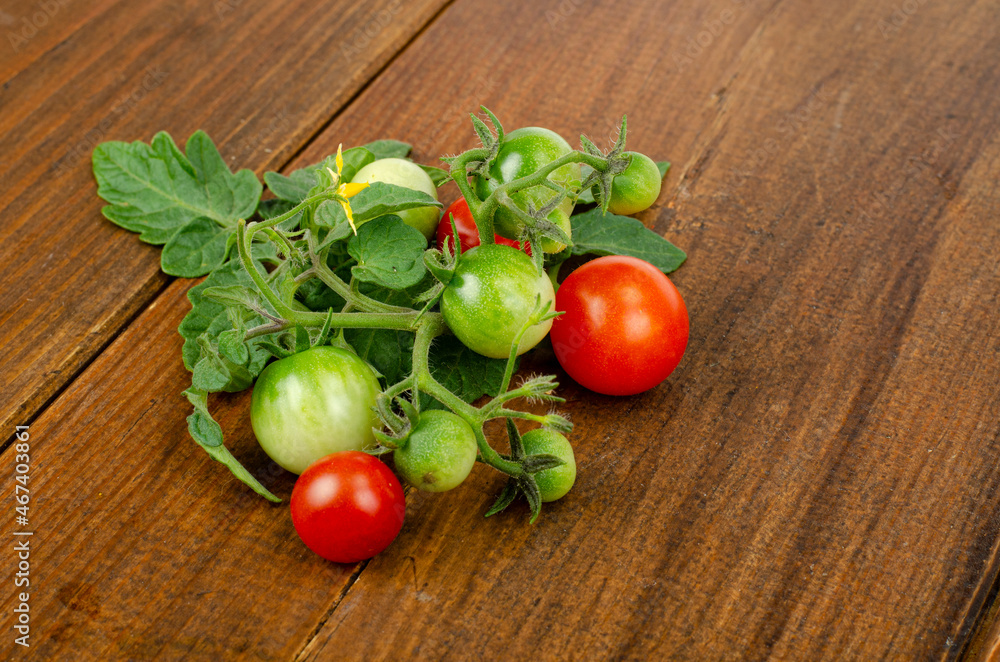 Branch of cherry tomatoes with red and green fruits on wooden background. Studio Photo Branch of cherry tomatoes with red and green fruits on wooden background. Studio Photo