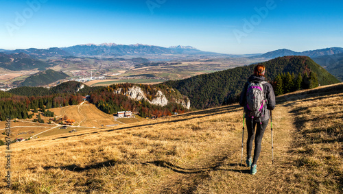 Hiking girl walking in path in colorful autumn forest at Cutkovska valley, Slovakia