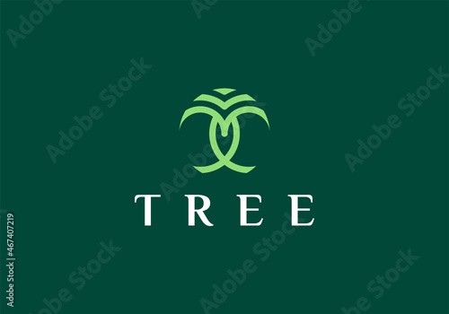 pine evergreen fir hemlock spruce conifer cedar coniferous cypress larch pinus tree forest hipster line art Logo design
