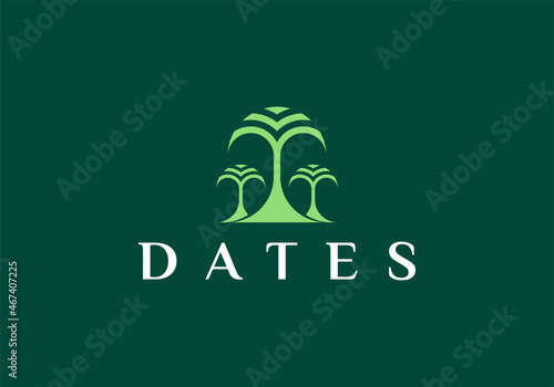 pine evergreen fir hemlock spruce conifer cedar coniferous cypress larch pinus tree forest hipster line art Logo design
