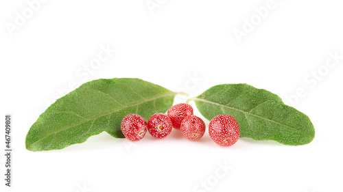 Fresh berries of red sea buckthorn with leaves isolated on a white background, front view, close-up. Selective focus. photo