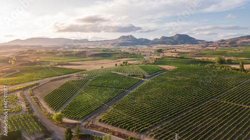 aerial view of la rioja vineyard, Spain © jon_chica