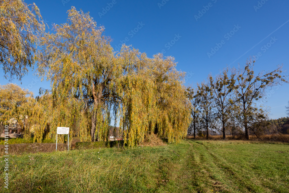Obraz premium Kanał Augustowski - Śluza Białobrzegi, Podlasie, Polska