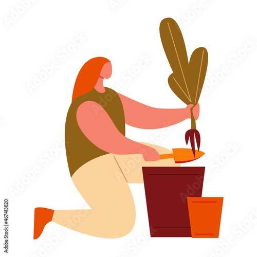 A woman transplants a plant in a pot. Caring for home flowers.Vector illustration in flat style.