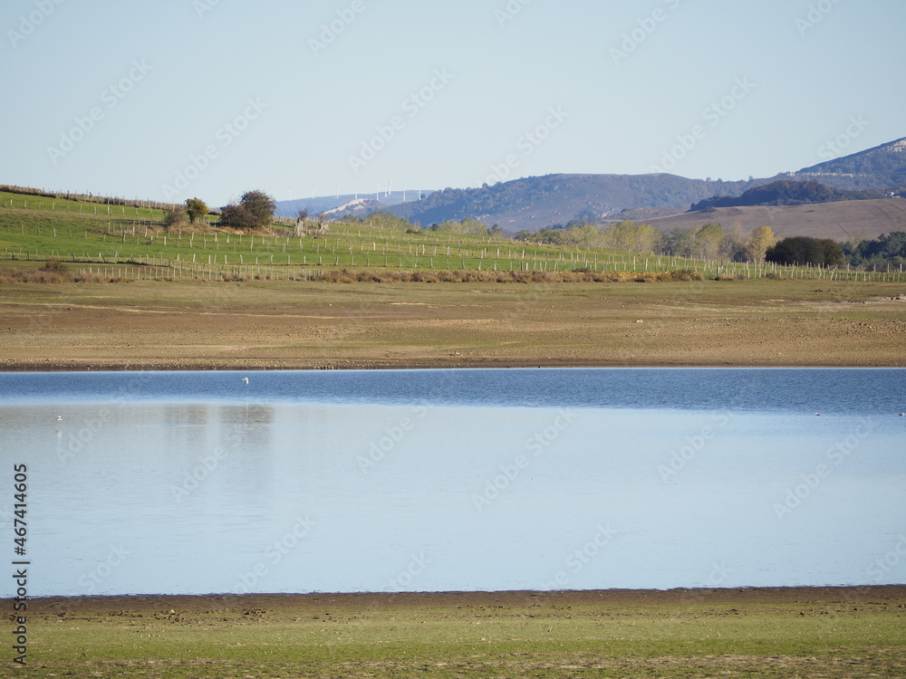 Fototapeta premium OLYMPUS DIGITAL CAMERA