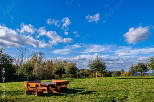 Meadow on the edge of the forest with a view of a lake Wiese am Rand drein Walters mit Blick auf einen See