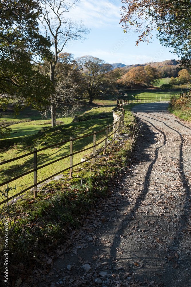 dirt track through the english countryside dirt track through the english countryside