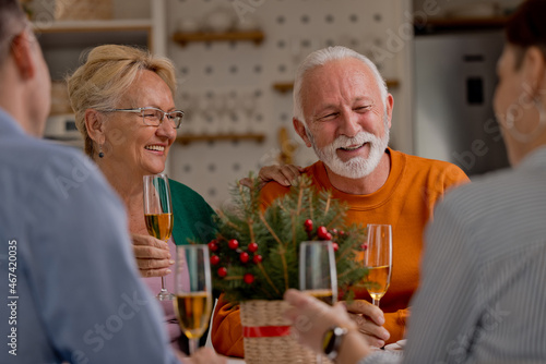Senior couple sitting at nicely decorated table, having Christmas dinner with family or friends and making a toast, raising glasses of wine