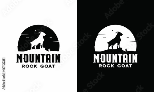 majestic mountain rock goat standing silhouette