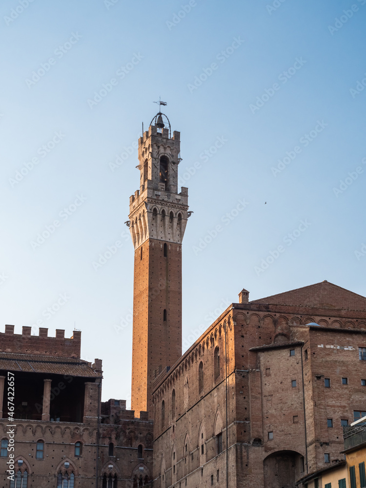 Torre del Mangia Tower of the Palazzo Pubblico City Hall in Siena, Tuscany, Italy
