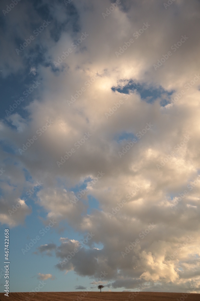 Clouds over the tree