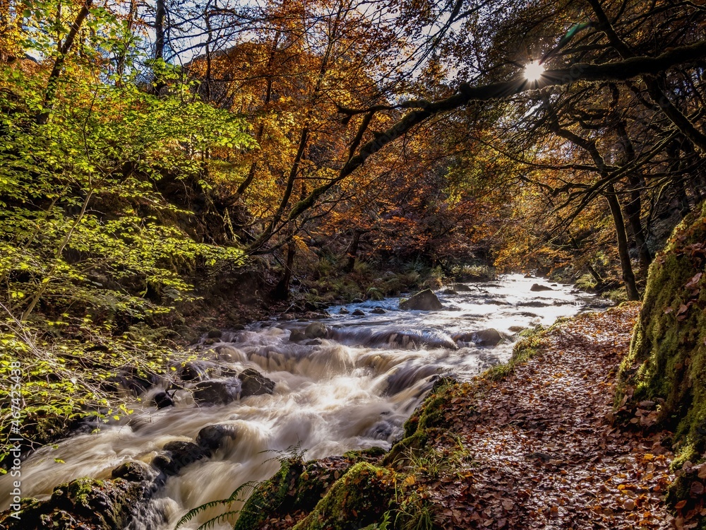 waterfall in autumn in Ness Glen waterfall in autumn in Ness Glen