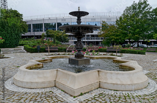 Part of a rose garden with a water fountain after rain, Sofia, Bulgaria 